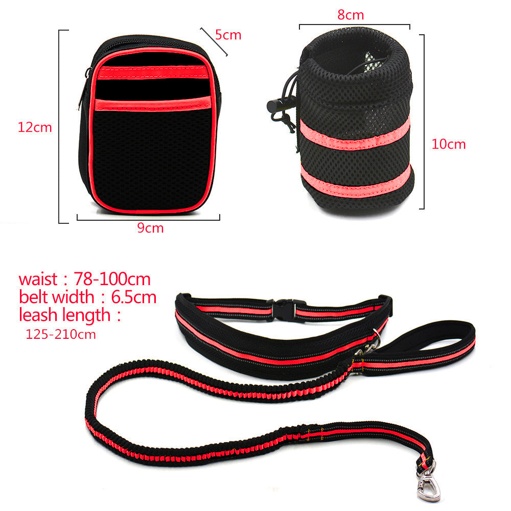Reflective Elastic Dog Leash Set with Treat Bag