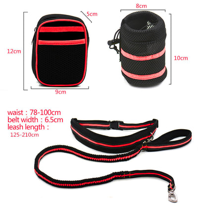 Reflective Elastic Dog Leash Set with Treat Bag