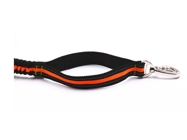 Reflective Elastic Dog Leash Set with Treat Bag