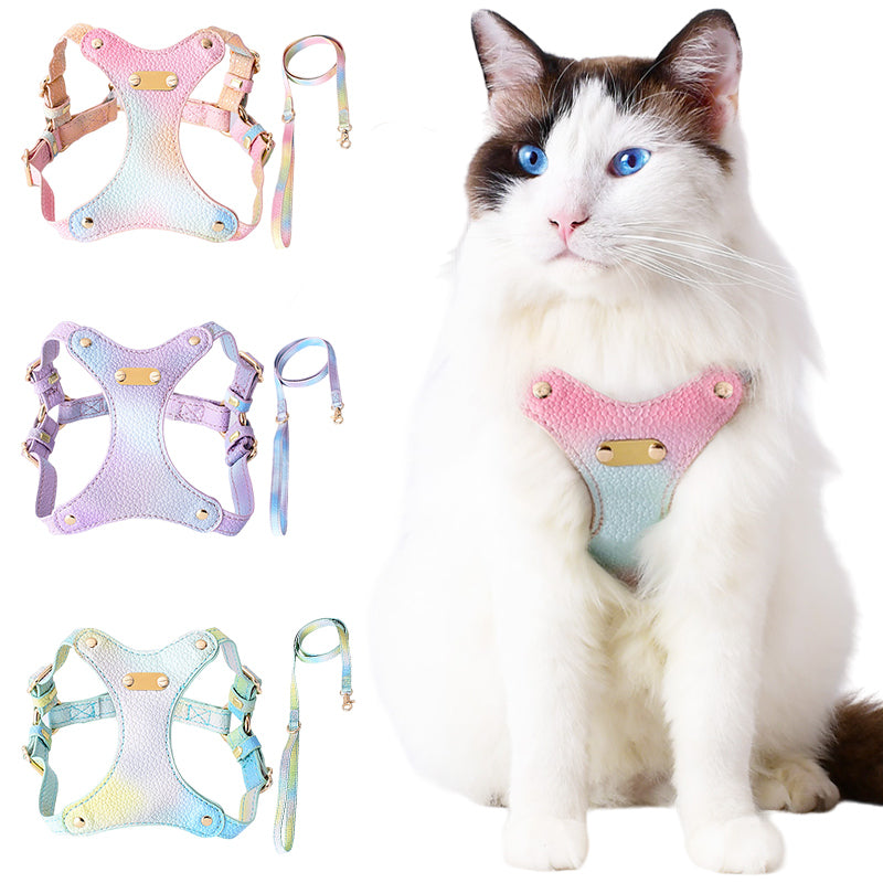 Adjustable Waterproof Leather Pet Harness for Small Dogs