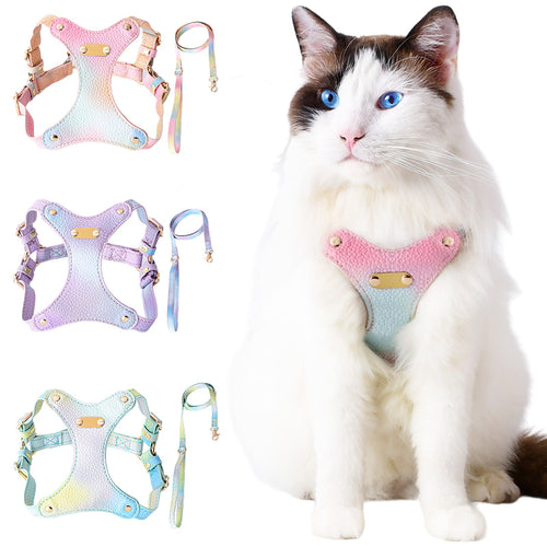 Adjustable Waterproof Leather Pet Harness for Small Dogs