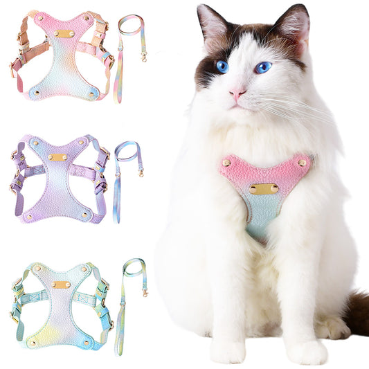Adjustable Waterproof Leather Pet Harness for Small Dogs